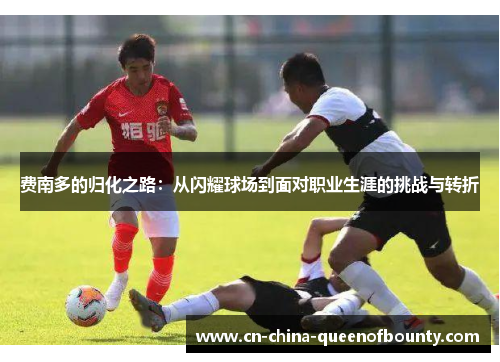 费南多的归化之路：从闪耀球场到面对职业生涯的挑战与转折