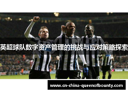 英超球队数字资产管理的挑战与应对策略探索