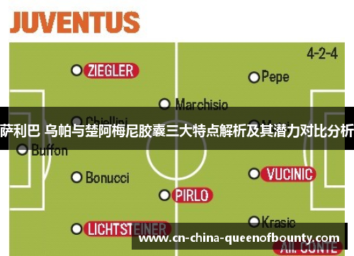 萨利巴 乌帕与楚阿梅尼胶囊三大特点解析及其潜力对比分析